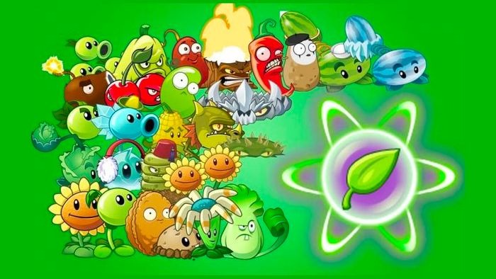 Characteristics of each type of tree